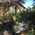 Des Oliviers Nîmes