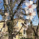 Des Oliviers Frühstückspension Nîmes