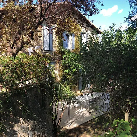 Des Oliviers Nîmes